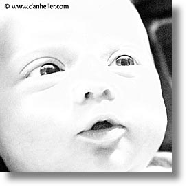 images/personal/Jack/BabyFace/BW/baby-face-bw2.jpg