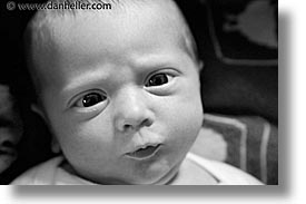 babies, baby face, black and white, boys, concerned, horizontal, infant, jacks, photograph