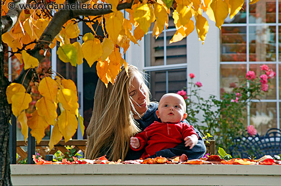 jnj-leafy-fence-4.jpg