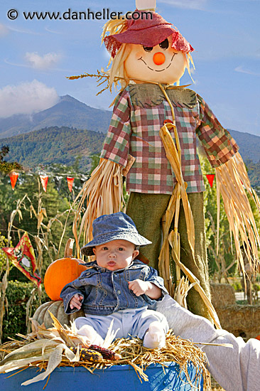 jack-n-scarecrow-3b.jpg