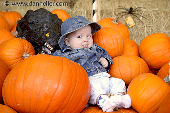 jack-pumpkins-1.jpg