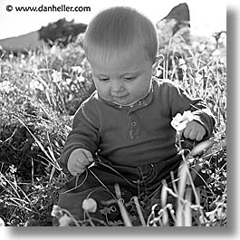 images/personal/Jack/JanFeb2005/jack-in-grass-bw-1.jpg