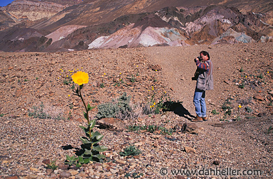 yellow-flower-me.jpg